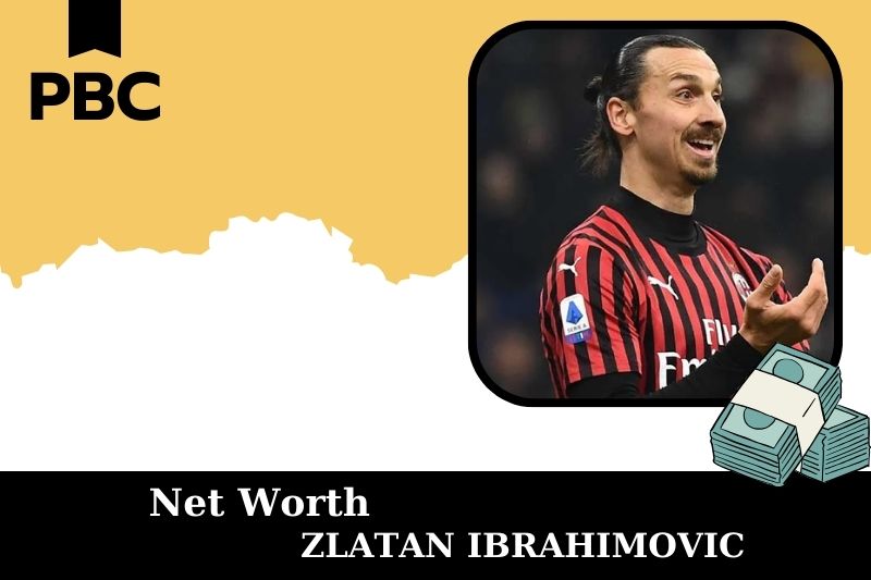 What is Netto -assets from Zlatan Ibrahimovic in 2025