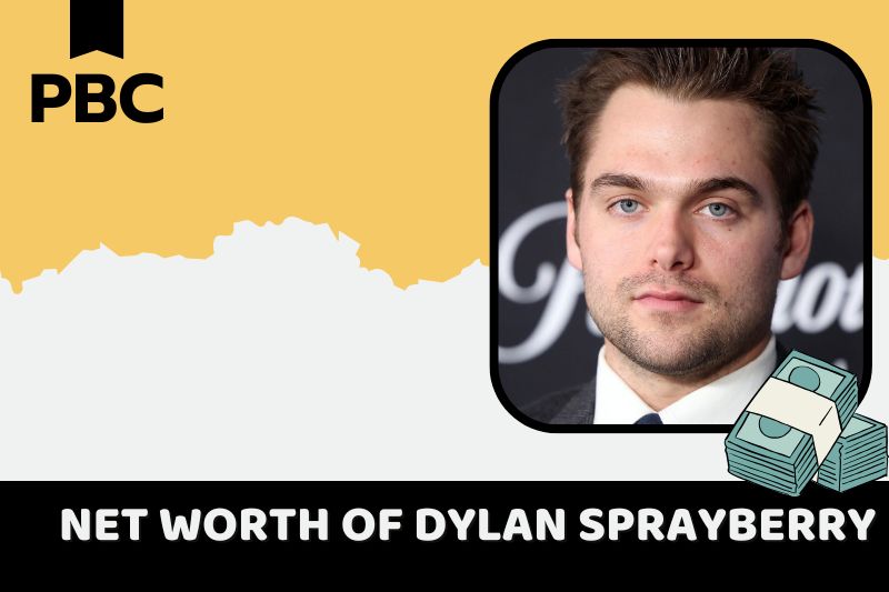 What is Netto -assets from Dylan Sprayberry in 2024