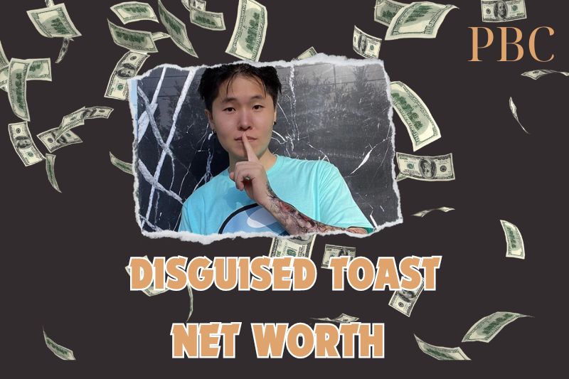 What is Disguised Toast Net Worth 2025: Streaming Success and Career Earnings