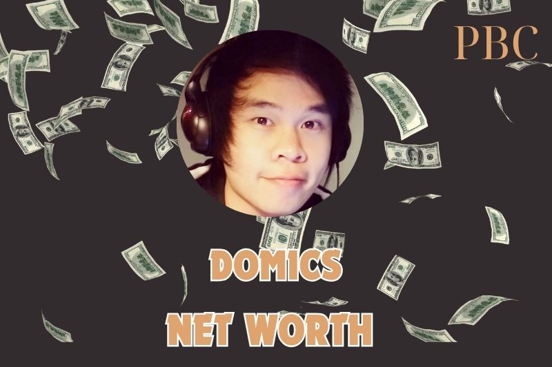 What is Domics Net Worth 2024: How He Earns From YouTube and Career Success