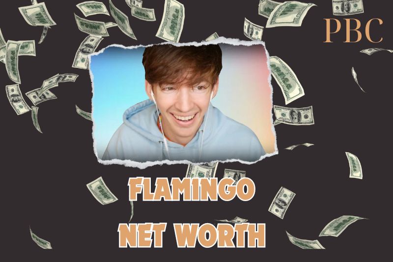 What is Flamingo Net Worth in 2025: Key Milestones in His YouTube Success