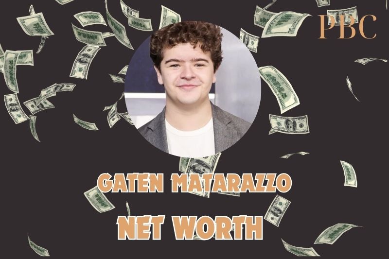 What is the net assets of Gaten Matarazzo in 2024