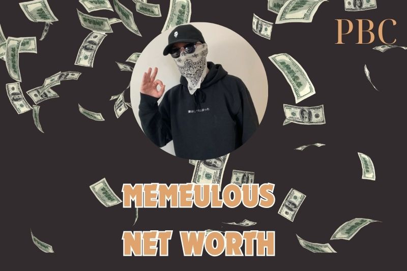 What is Memeulous Net Worth in 2025: Income Sources, Collaborations & Success