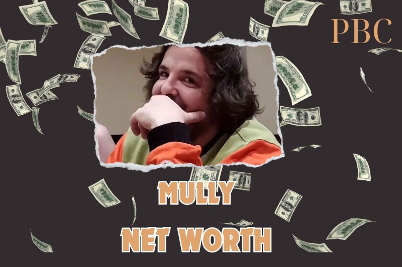 What is Mully Net Worth 2024: How Makes Money from YouTube Sponsorships