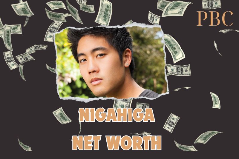 What is Nigahiga Net Worth 2025: Key Milestones and Career Success