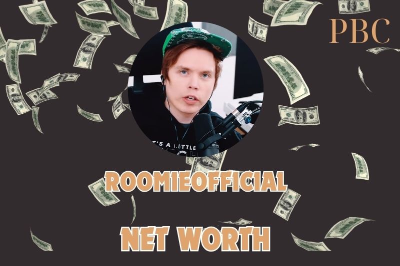 What is RoomieOfficial Net Worth 2024: YouTube Career and Financial Overview