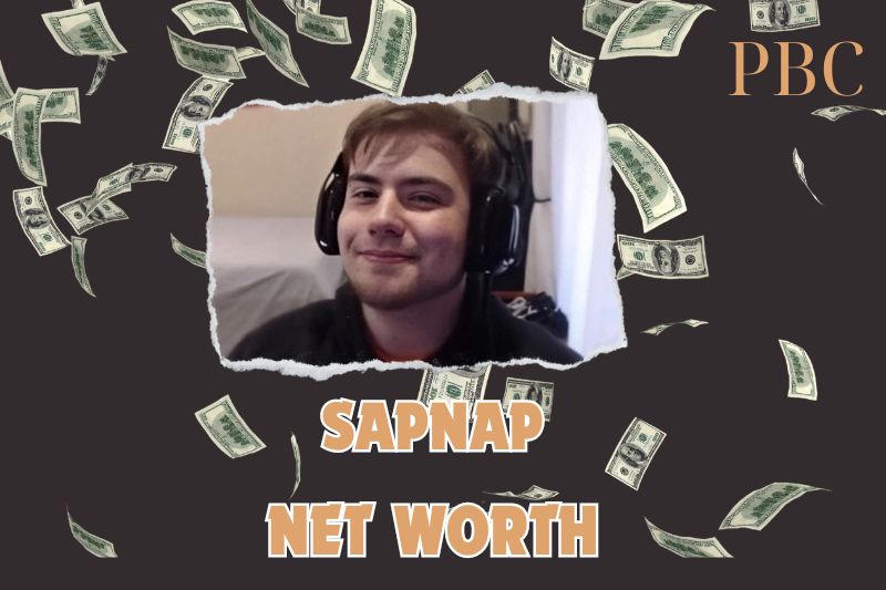 What is Sapnap Net Worth 2024: How He Earns from YouTube, Twitch, and More