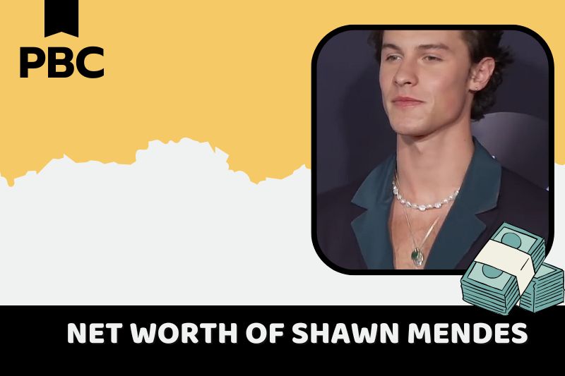 What is the net assets of Shawn Mendes in 2024