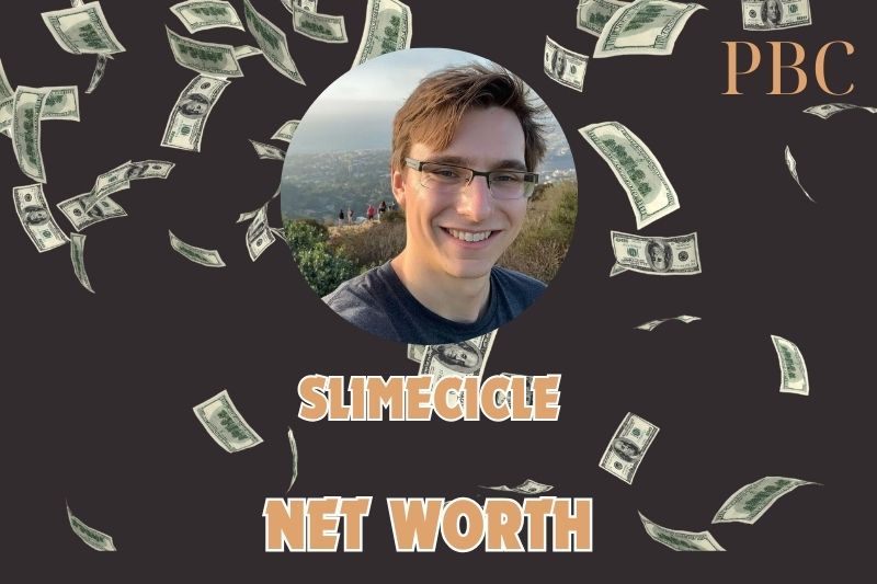 What is Slimecicle Net Worth 2024: Exploring His Early Career and Financial Growth