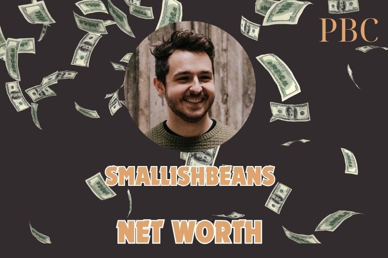 What is SmallishBeans Net Worth 2024: Rise to YouTube Fame