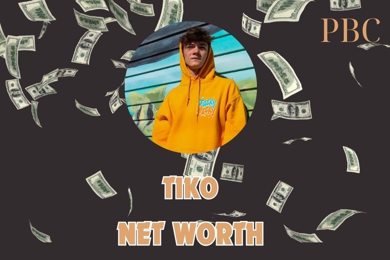 What is Tiko Net Worth 2024: How He Earns from YouTube and Merchandise Sales