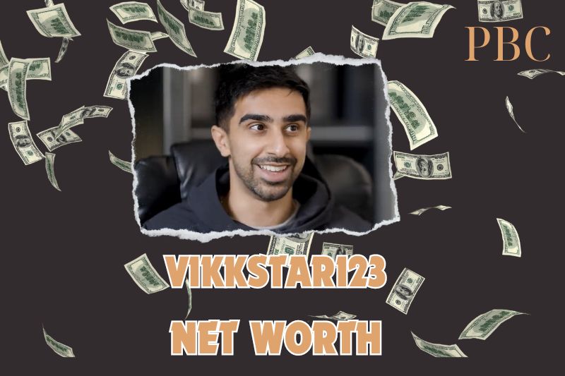 What is Vikkstar123 Net Worth in 2025: Income Streams and Business Ventures