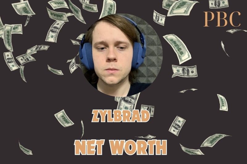 What is Zylbrad Net Worth 2024: His Income, YouTube Growth, and Financial