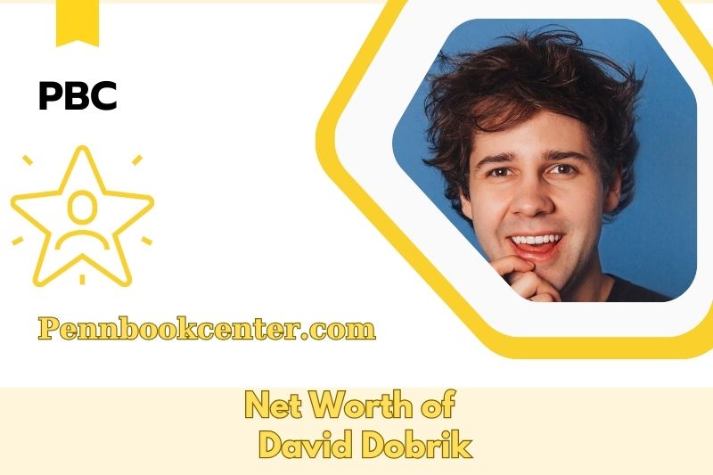 What is David Dobrik's net assets in 2025