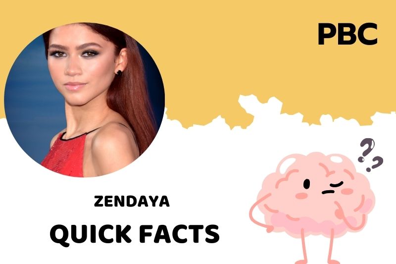 What is Zendaya Net Worth 2025: Latest Financial Overview and Income Sources