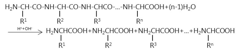 peptide-la-gi-4