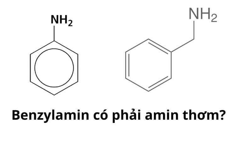 benzylamine-co-fain-amine-thom