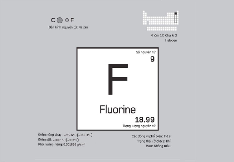 Nguyên-to-flo-1