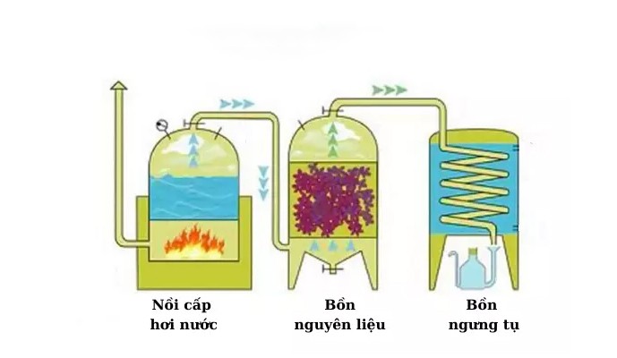 phương-pháp-tướng-cat-la-gi-3