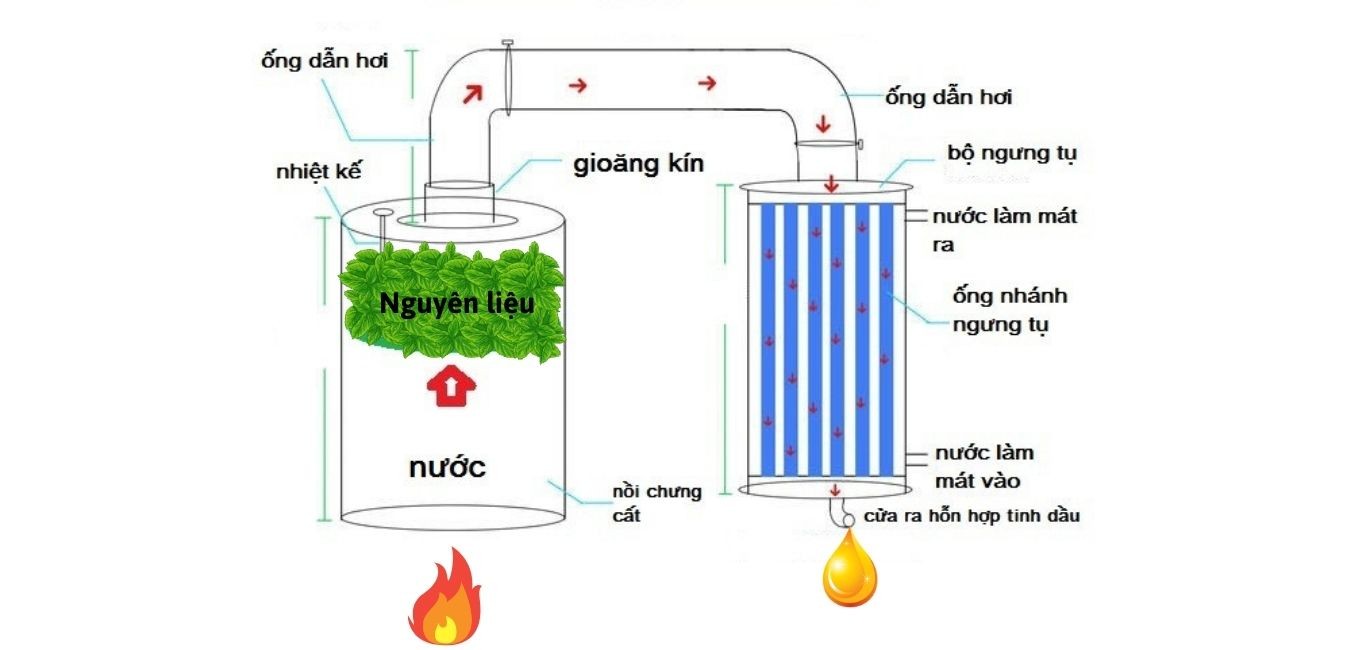 phương-pháp-tướng-cat-la-gi-8