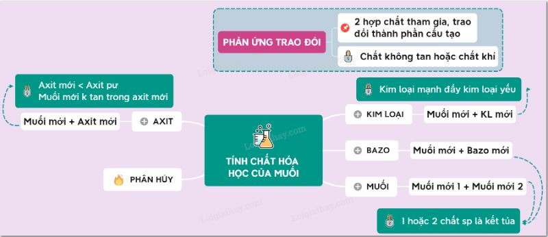 3-call-y-bai-tap-xe-chat-hoa-hoc-cua-muoi