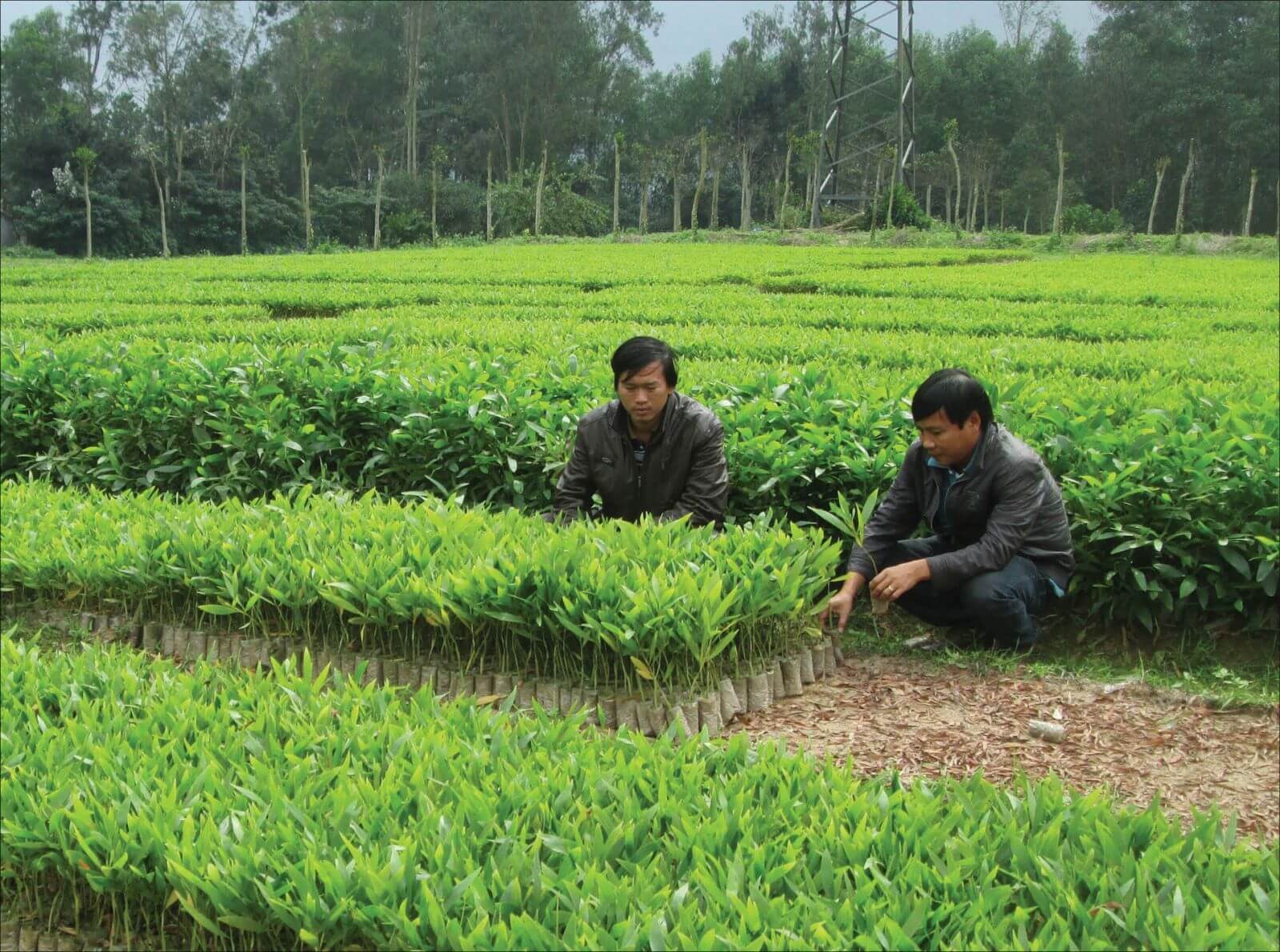 Sử dụng hợp lý và tiết kiệm tài nguyên thiên nhiên