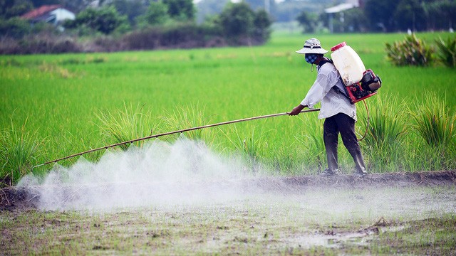 Rượu anlylic chủ yếu được sử dụng trong sản xuất thuốc trừ sâu