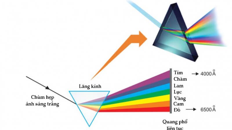 tân-sắc-anh-sang-3