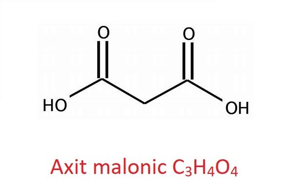 axit malonic-la-gi-1