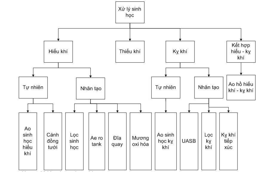 Hình ảnh các phương pháp sinh học sử dụng trong xử lý NO2 