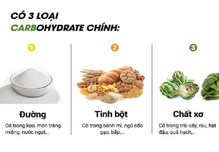 có bao nhiêu loại carbohydrate