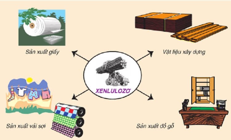 celluloid-sử dụng-cellulose