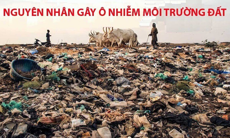 Nguyễn-nhẫn-gay-o-nhiem-new-school-dat-4