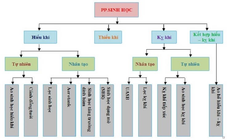 Công-nghe-sinh-nghiên-của-thai-pha loãng