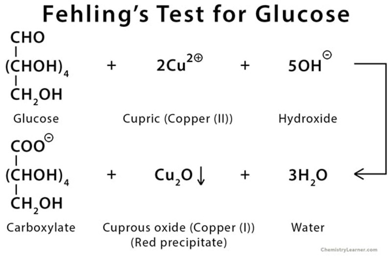 fehlings-test-glucose