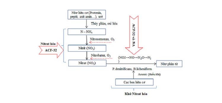 phương pháp tính diện tích nitrat-amoni trong nước