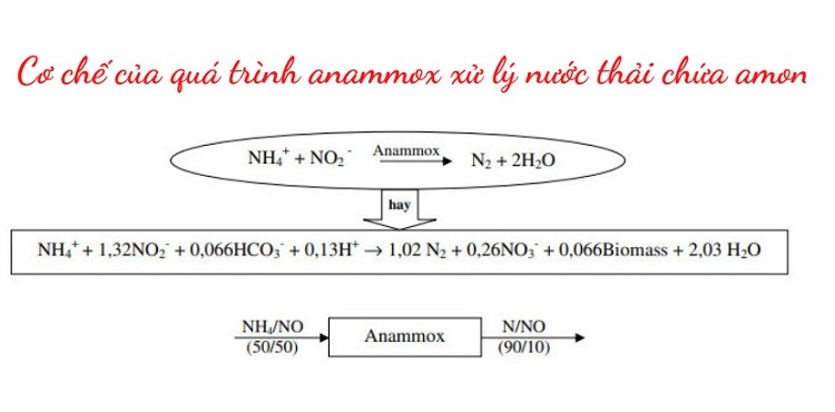 phuong-phap-anamox