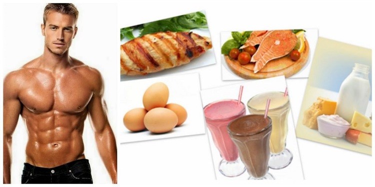 protein-help-sản xuất-trien-co-bap