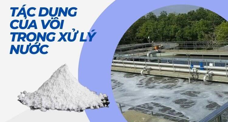 sử dụng voi trong lồng nước