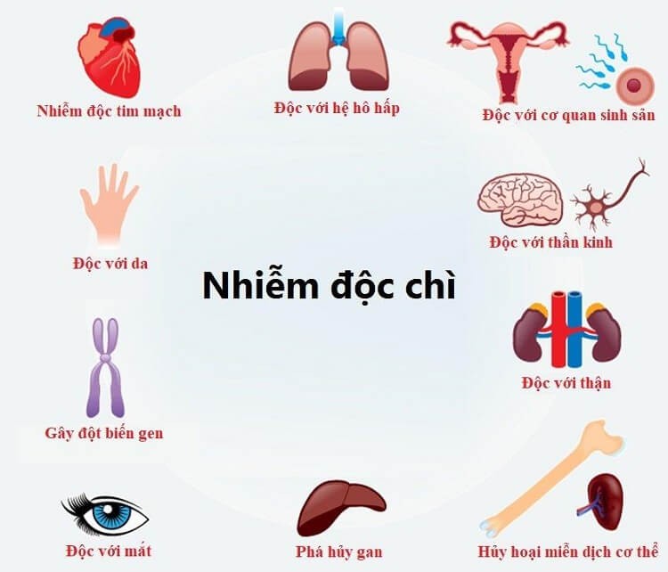 nghiên cứu-doc-chi-2