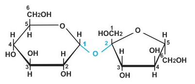 Thủy phân saccharose | C12H22O11 + H2O → C6H12O6 (glucose) + C6H12O6 (fructose)