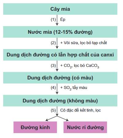 Thủy phân saccharose | C12H22O11 + H2O → C6H12O6 (glucose) + C6H12O6 (fructose)