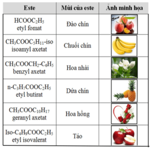 Anlyl axetat + NaOH | CH3COOCH2CH=CH2 + NaOH → CH3COONa + CH2=CHCH2OH