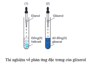 glycerol + Cu(OH)2 | C3H5(OH)3 + Cu(OH)2 → [C3H5(OH)2O]2Cu + H2O