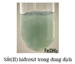 Fe(OH)2 + H2SO4 loãng → FeSO4 + H2O