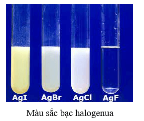 AgNO3 + HCl → AgCl + HNO3