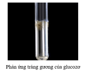 C6H12O6 → CO2 + C2H5OH | C6H12O6 ra C2H5OH (lên men rượu)