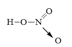 Mg + HNO3 loãng → Mg(NO3)2 + N2+ H2O | Mg + HNO3 ra N2