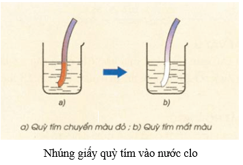 NaOH + Cl2 →  NaCl + NaClO + H2O | NaOH ra  NaCl | NaOH ra NaClO | Cl2 ra NaCl | Cl2 ra NaClO