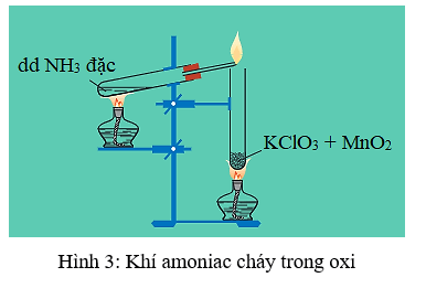 HCl ra NH4Cl | NH3 + HCl → NH4Cl | NH3 ra NH4Cl